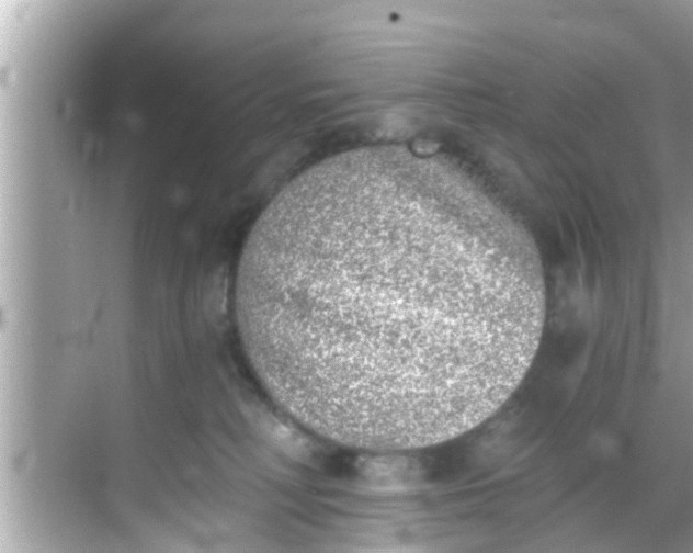 X0000068300230200605051941