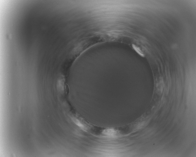 X0000068300231200605051941