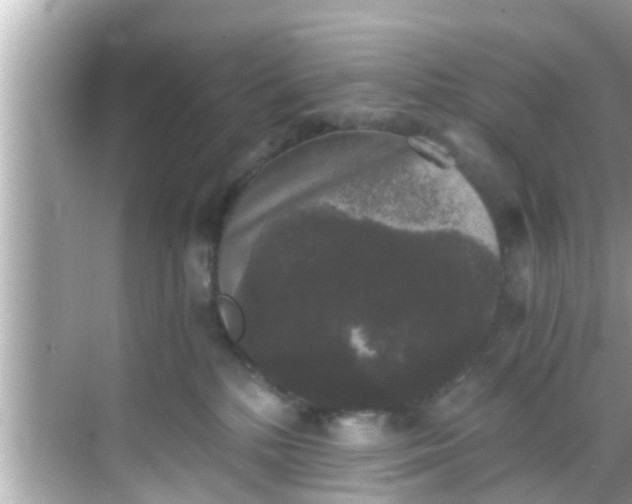 X0000068300232200605051941