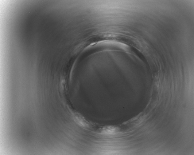 X0000068300235200605051941