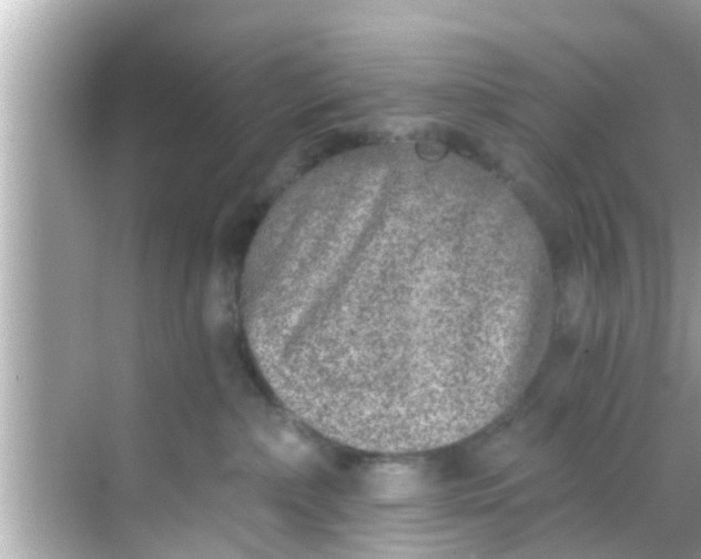 X0000068300236200605051941