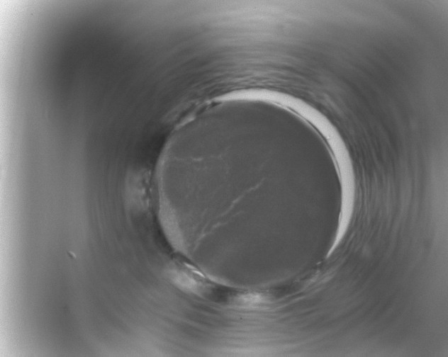 X0000068300237200605051941