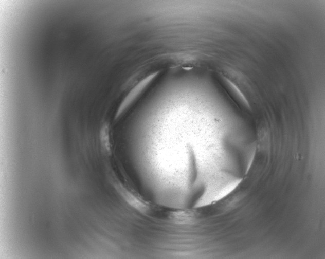 X0000068300238200605051941