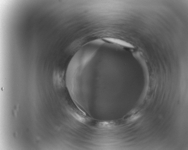 X0000068300239200605051941