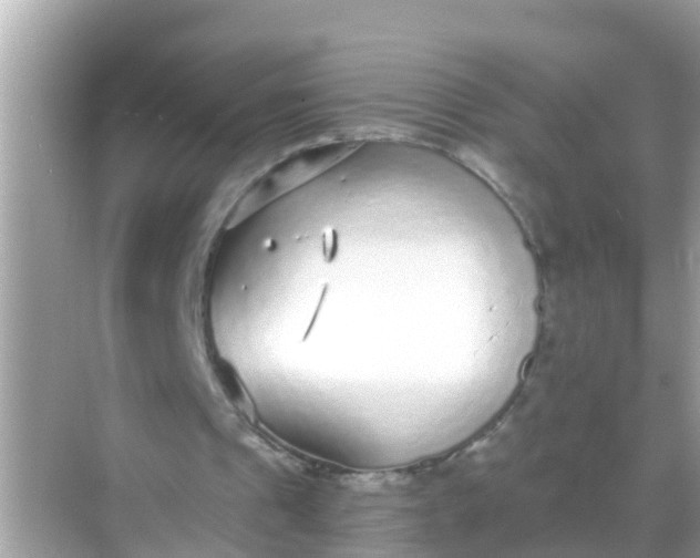 X0000068300241200605051940