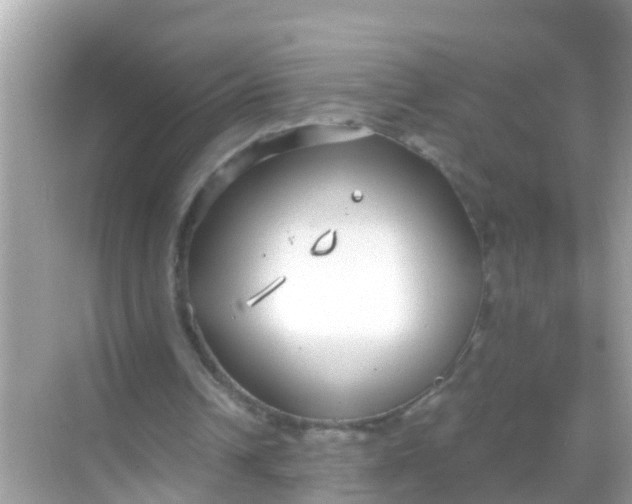 X0000068300242200605051940