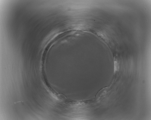 X0000068300243200605051940