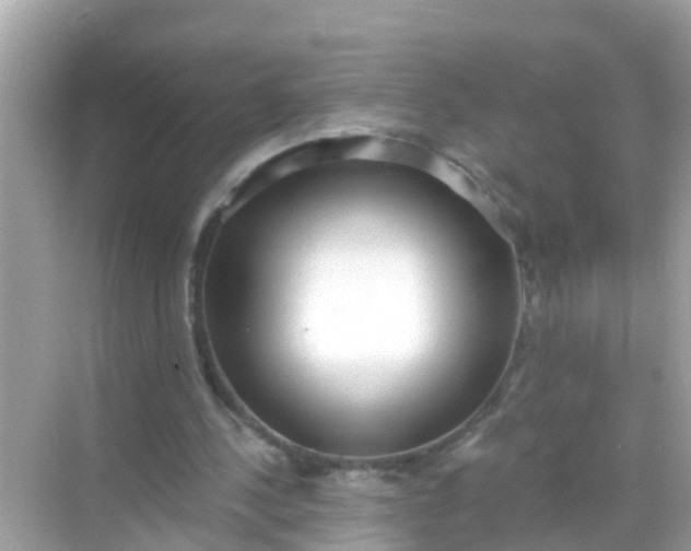 X0000068300244200605051940