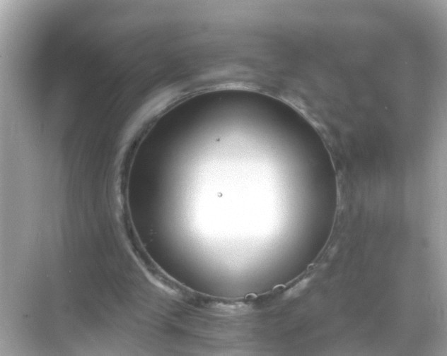 X0000068300245200605051940