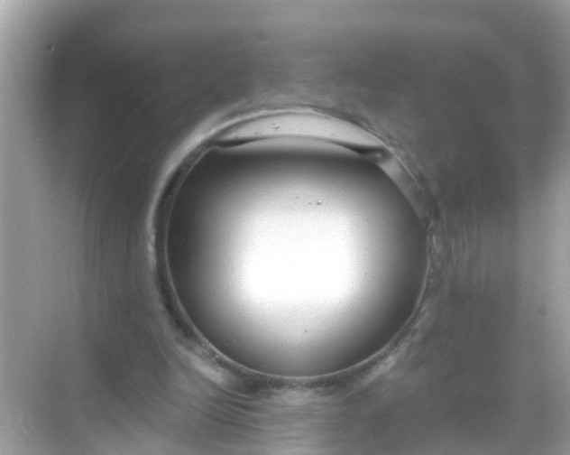 X0000068300246200605051940