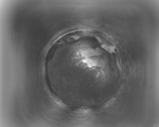 X0000068300247200605051940