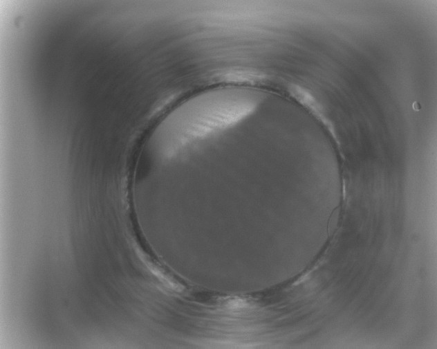 X0000068300249200605051940