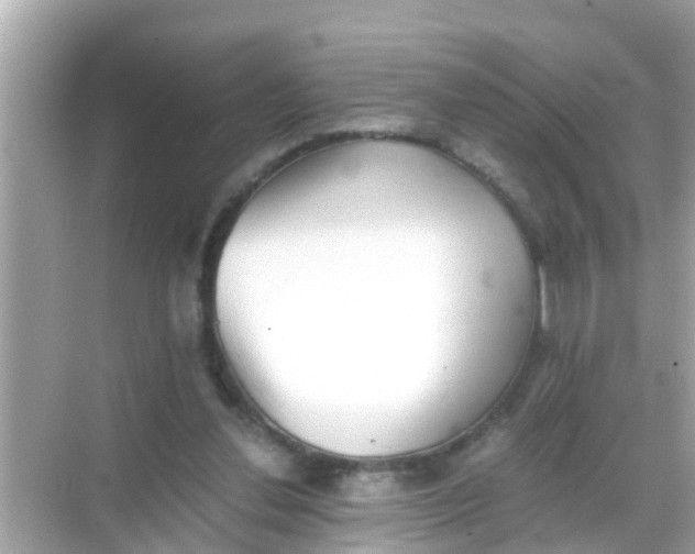 X0000068300252200605051940