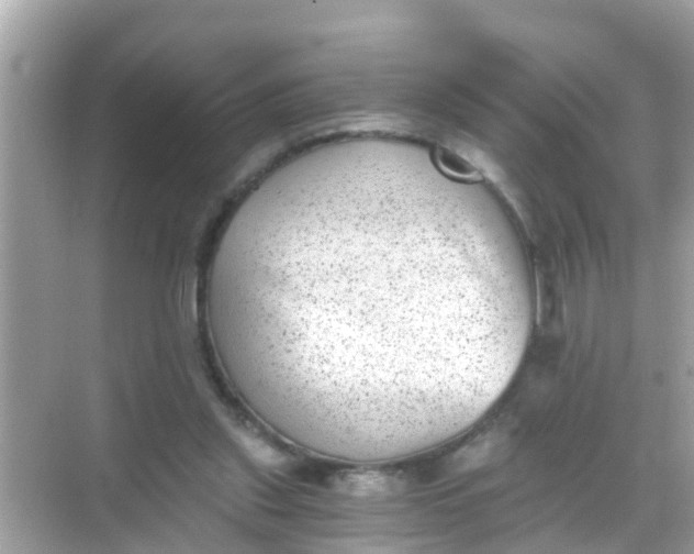 X0000068300253200605051940