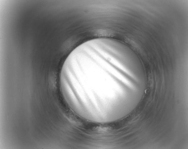 X0000068300255200605051940