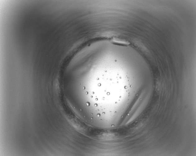 X0000068300256200605051940