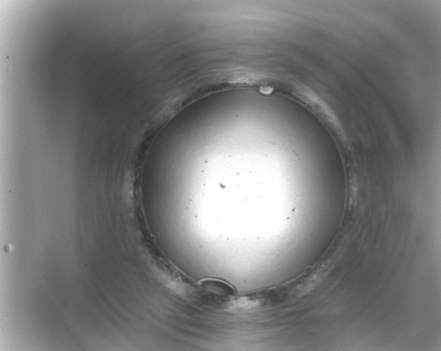 X0000068300257200605051940