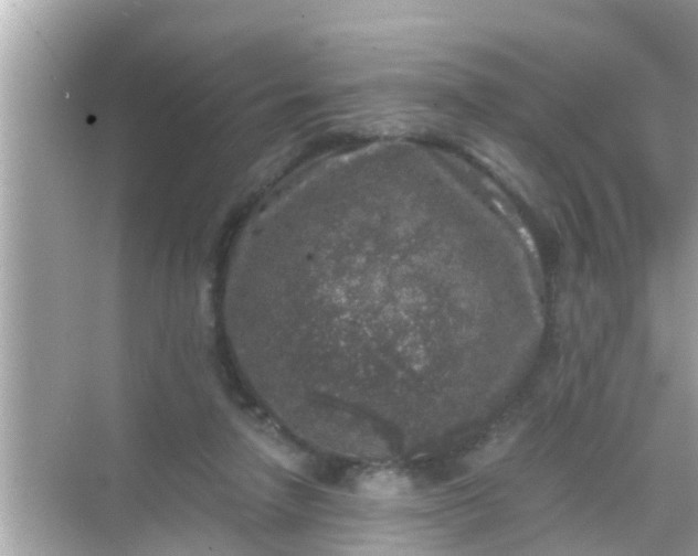 X0000068300258200605051940