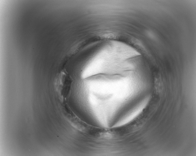 X0000068300259200605051940