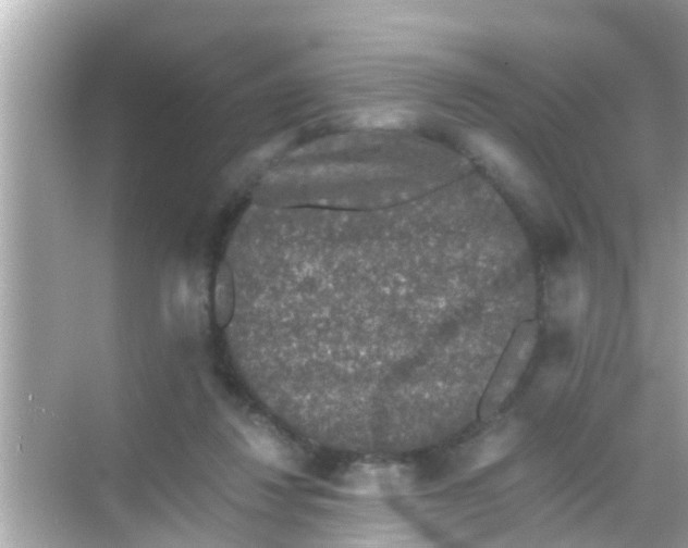 X0000068300260200605051940