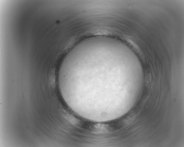 X0000068300261200605051940