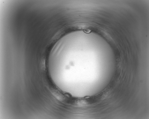 X0000068300262200605051940