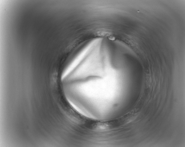 X0000068300263200605051941