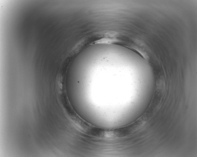 X0000068300264200605051941