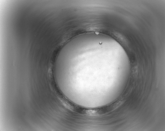 X0000068300265200605051941