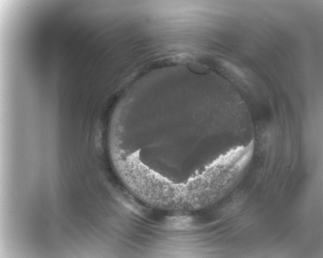 X0000068300266200605051941