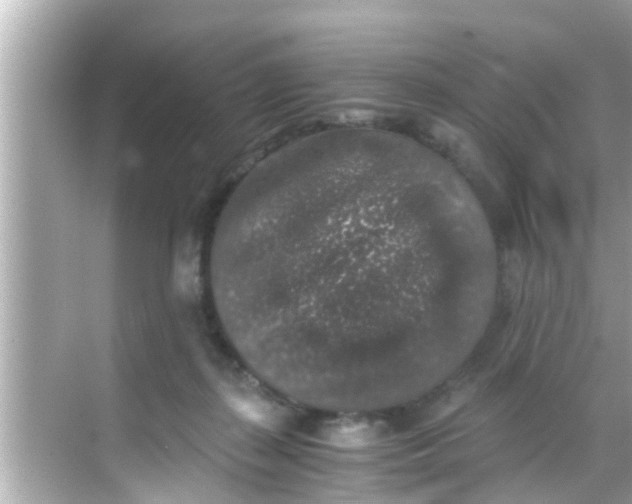 X0000068300267200605051941