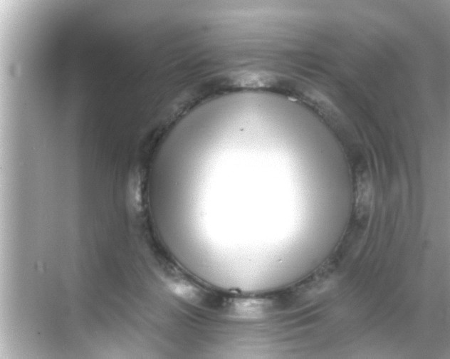 X0000068300268200605051941