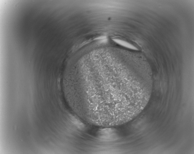 X0000068300269200605051941