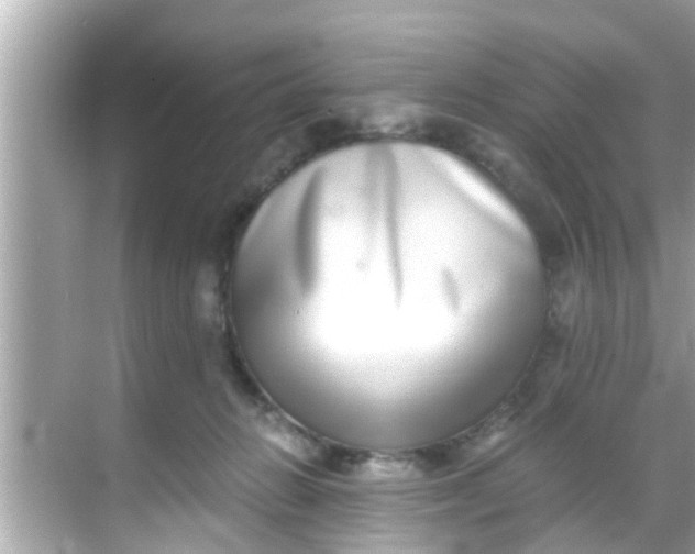 X0000068300270200605051941