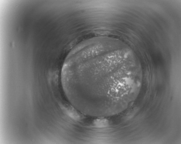 X0000068300271200605051941