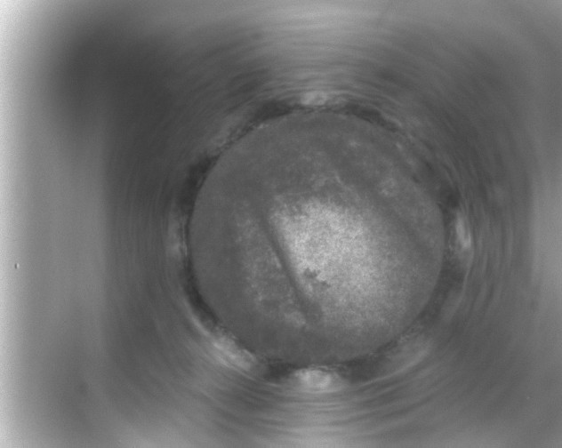 X0000068300272200605051941