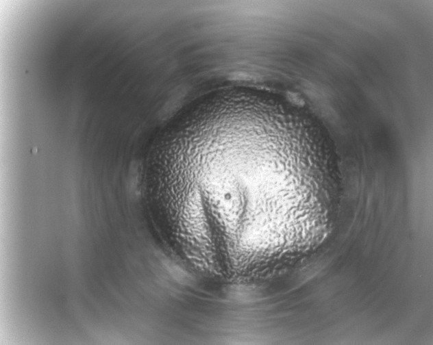 X0000068300273200605051941