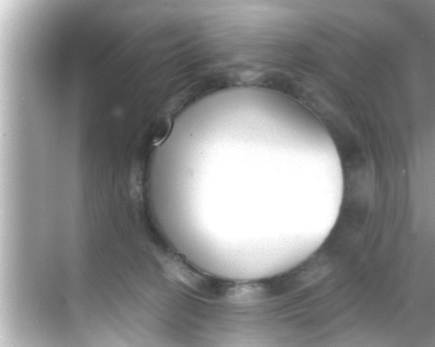 X0000068300274200605051941