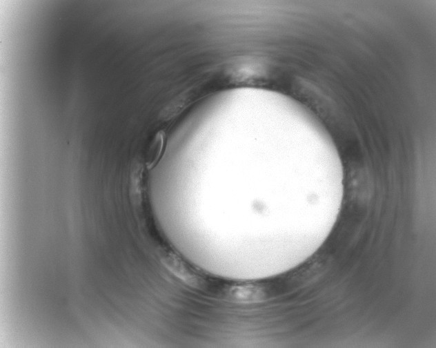 X0000068300275200605051941