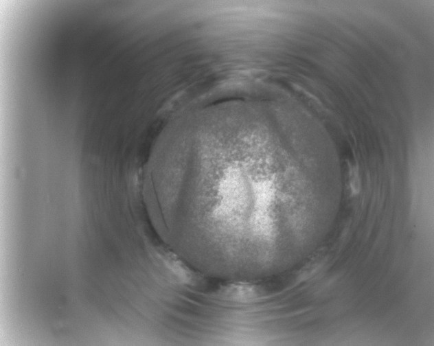 X0000068300276200605051941