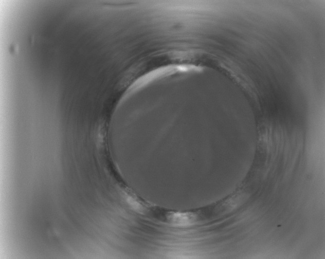 X0000068300277200605051941