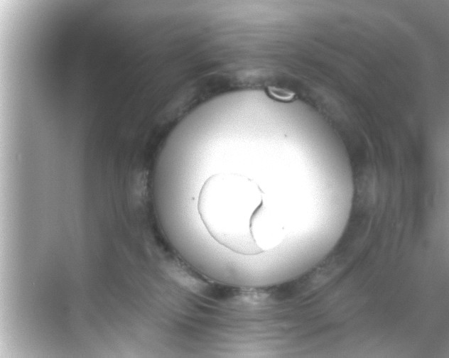 X0000068300278200605051941