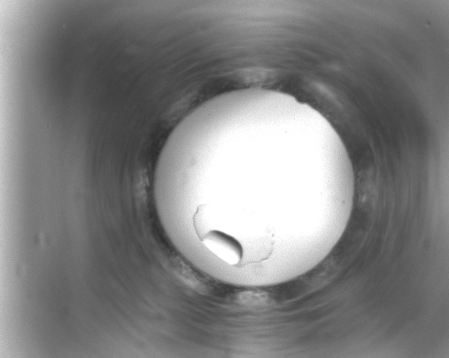 X0000068300279200605051941