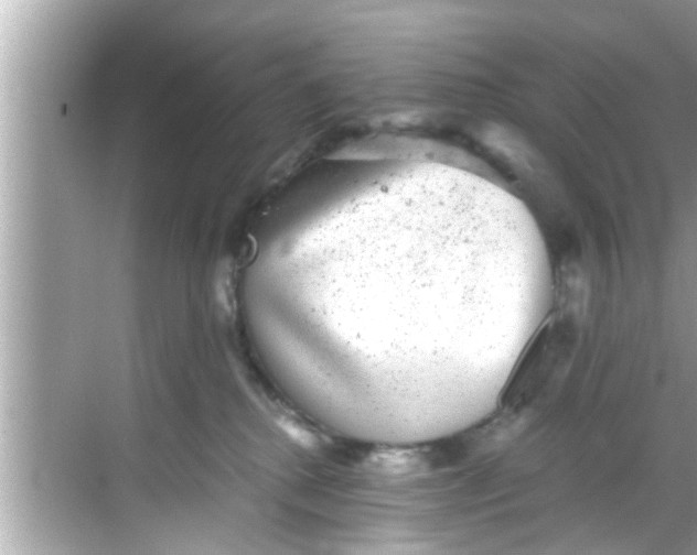 X0000068300280200605051941