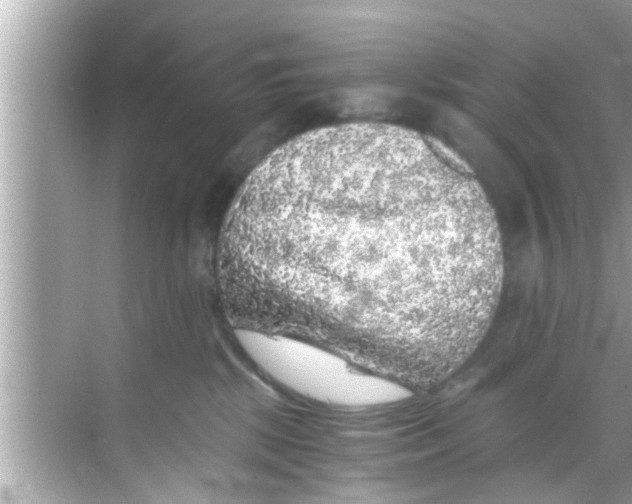 X0000068300281200605051941