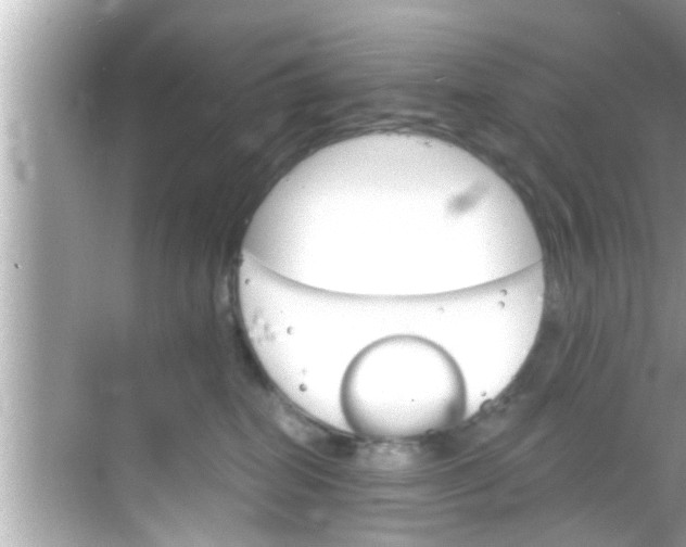 X0000068300282200605051941