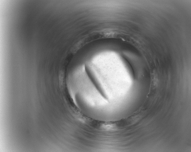 X0000068300283200605051941