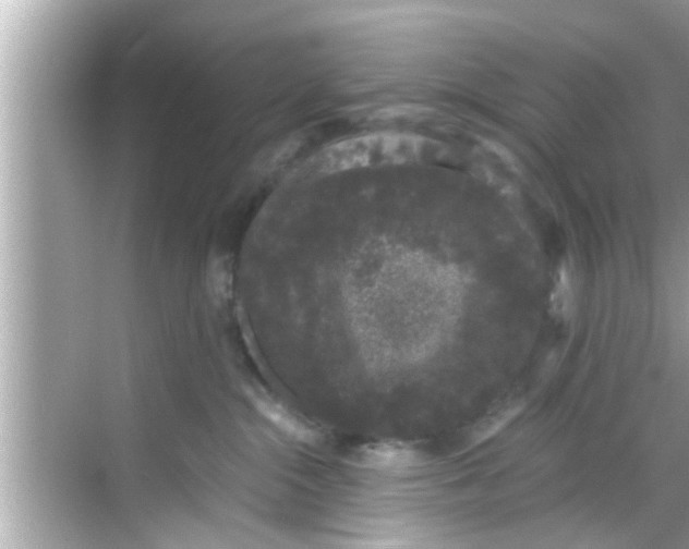 X0000068300284200605051941