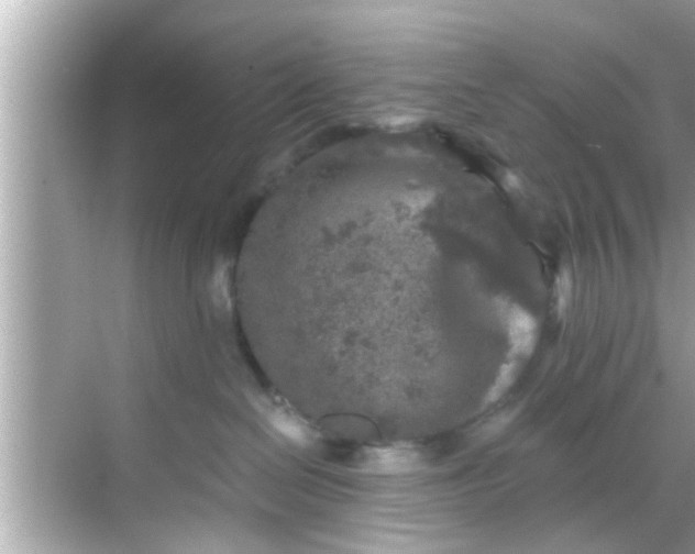 X0000068300286200605051941