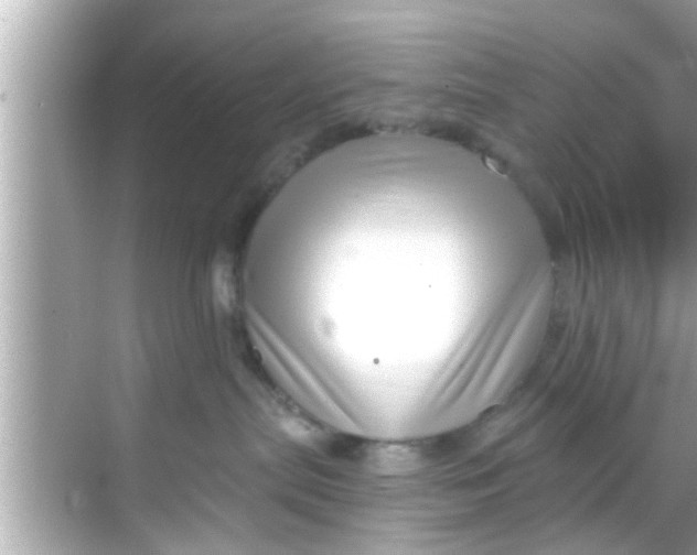 X0000068300287200605051941